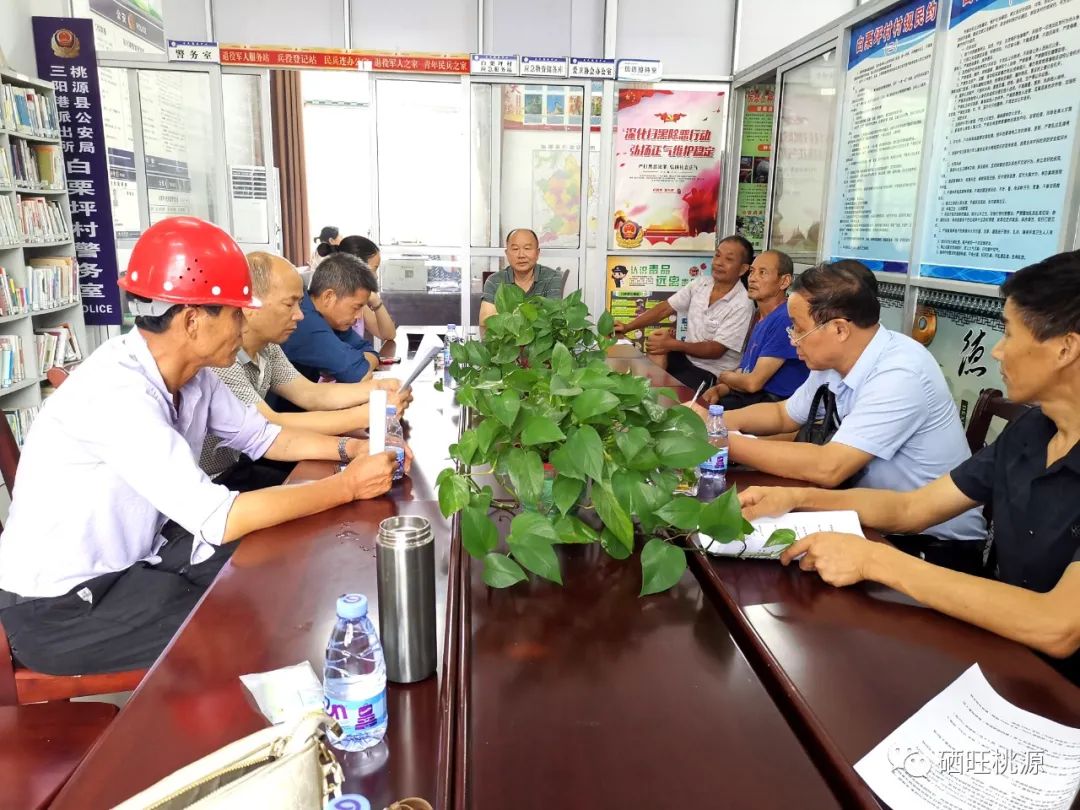 水稻富硒輕簡(jiǎn)栽培能提質(zhì)增效？三陽港鎮(zhèn)試驗(yàn)示范給出肯定答案